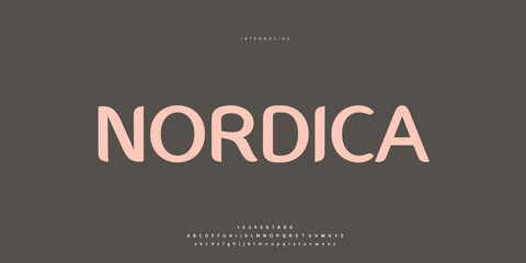 Elegant Font Uppercase Lowercase and Number. Classic Lettering Minimal Fashion Designs. Typography modern Sen Serif fonts regular decorative vintage concept. vector illustration. © SyedMuhammad