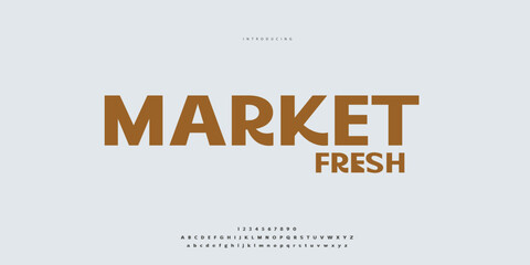 Elegant Font Uppercase Lowercase and Number. Classic Lettering Minimal Fashion Designs. Typography modern Sen Serif fonts regular decorative vintage concept. vector illustration. © SyedMuhammad