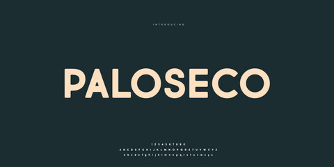 Elegant Font Uppercase Lowercase and Number. Classic Lettering Minimal Fashion Designs. Typography modern Sen Serif fonts regular decorative vintage concept. vector illustration. © SyedMuhammad