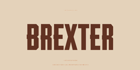 Elegant Font Uppercase Lowercase and Number. Classic Lettering Minimal Fashion Designs. Typography modern Sen Serif fonts regular decorative vintage concept. vector illustration. © SyedMuhammad