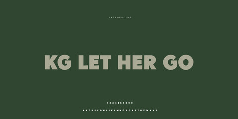 Elegant Font Uppercase Lowercase and Number. Classic Lettering Minimal Fashion Designs. Typography modern Sen Serif fonts regular decorative vintage concept. vector illustration. © SyedMuhammad