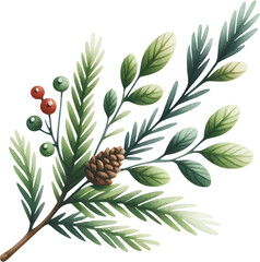 Obraz premium Delicate watercolor clipart of pine needles, perfect for creating Christmas themes, festive cards, and winter decorations. Adds a natural, serene touch.