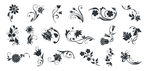 Styling daisy floral and flower silhouettes ornamental of vector icon set collection