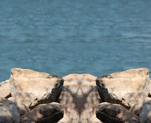 close-up view of some rocks with the blue water of a lake or sea in the background. The sun is shining on the rocks