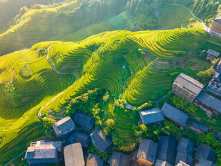Drone view of Longji terraced green rice field located in Longsheng, Guangxi province. High angle...