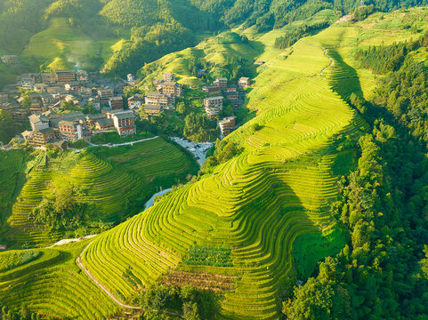 High angle view of Longji (Dragon's Backbone) Terraced Rice Fields at sunset, in the background the farming village of Longsheng, Longji, Guangxi province, China