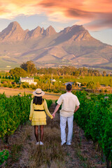 Couple of men and women at a Vineyard landscape at sunset with mountains in Stellenbosch, Cape...