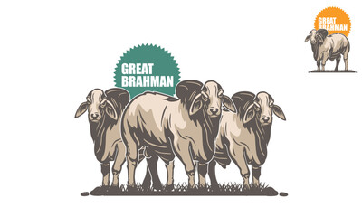 great big brahman cattle logo, silhouette of big and strong bull standing vector illustrations