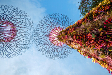Glowing show Gardens by the Bay in Singapore, view from below