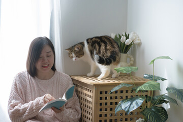 cat care concept with asian woman read book and play with scottish tabby cat at home