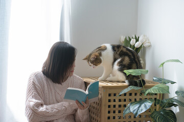 cat care concept with asian woman read book and play with scottish tabby cat at home