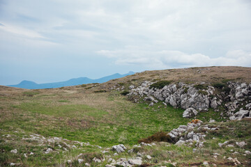 landscape, mountaintop, rocks, grass and sky