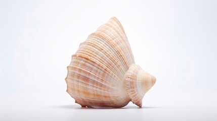 Obraz premium a close-up of a snail