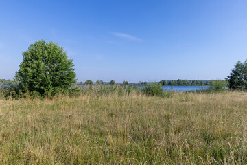Obraz premium lake in sunny summer weather