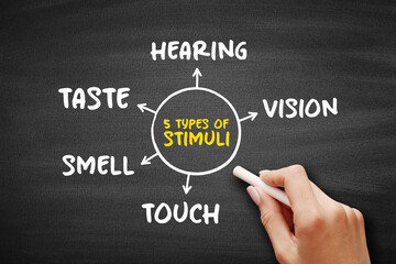 The 5 types of external stimuli - divided into our senses: touch, vision, smell and taste, mind map...
