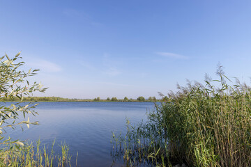 lake in sunny summer weather