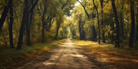 Obraz premium A forest road with the sun shining through the trees . A Sunlit Forest Road Adventure .Sunlit Serenity, A Forest Road Bathed in Golden Glow .