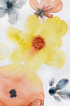 Beautiful delicate watercolor painting of flowers