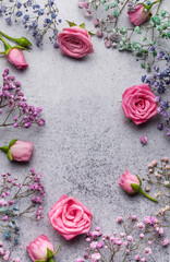 Colored gypsophila flowers and pink roses on concrete background