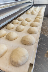 Fototapeta na wymiar Ball of raw bread dough