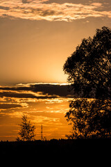 Orange bright sunset against the background of dark silhouettes of trees