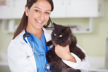 Vet clinic portrait, cat and happy woman for medical help, wellness healing services or healthcare support. Happiness, veterinary job experience or hospital veterinarian smile for feline checkup