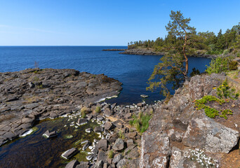 Valaam Island, clear lake water, rocky shore and pine trees growing on it