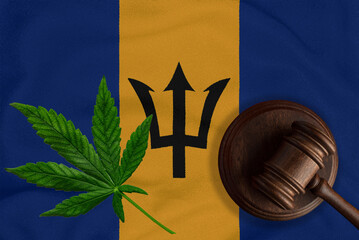 Flag of Barbados and justice gavel with cannabis leaf. Illegal growth of cannabis plant and drugs...