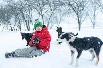 Boy in the winter outdoors with pooch dogs. Teenager sits in the snow surrounded by mongrels.