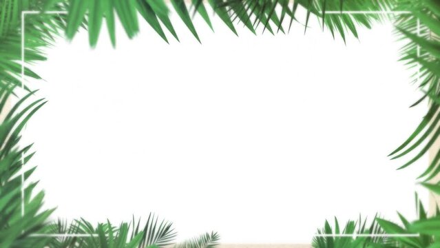 tropical design Beautiful plants loop animation background in 4k