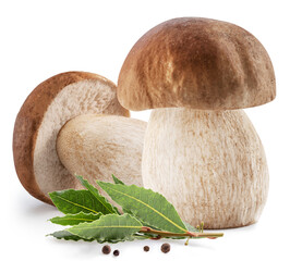 Porcini mushrooms with bay leaf and peppercorns isolated on white background.