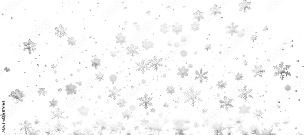 Poster Various intricate snowflakes falling against on a transparent background. Winter theme. Generative AI