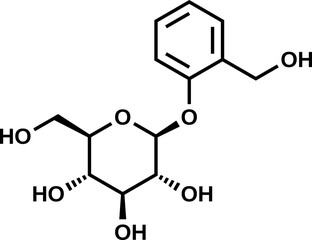 Fototapeta premium Salicin structural formula 