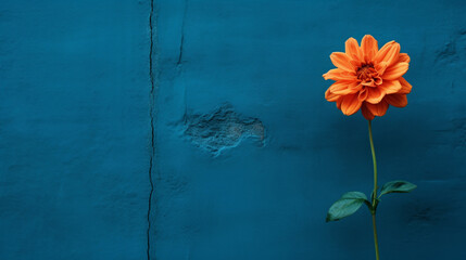 Fototapeta na wymiar flower on blue background