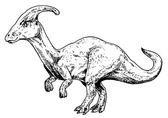 Parasaur vector illustration