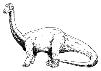 Brontosaurus vector illustration