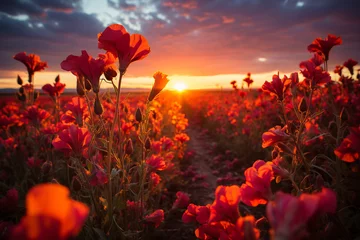 Foto op Canvas vibrant enchantment of a prairie at sunrise, with first light, awakening wildlife, and sense of a new day in full bloom © Anh