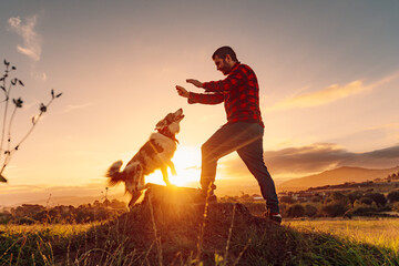 Young man standing in the field playing and training with his border collie breed dog at sunset....