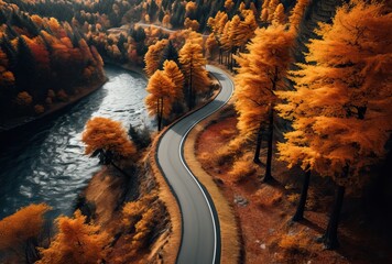 Route sinueuse vu par un drone aérienne dans la forêt canadienne en automne - obrazy, fototapety, plakaty