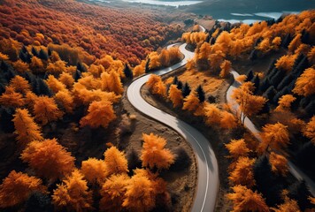 Route sinueuse vu par un drone aérienne dans la forêt canadienne en automne - obrazy, fototapety, plakaty