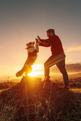 Young man standing in the field playing and training with his border collie breed dog at sunset. life with pets - obrazy, fototapety, plakaty