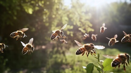 Group of bees flying in the sun