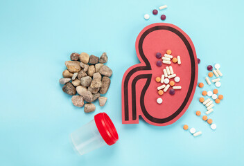 Kidney and differents pills on blue background. Organ diseases and treatment