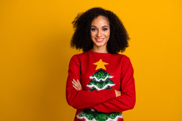 Photo of charming positive lady wear new year ugly print sweater arms crossed isolated yellow color...