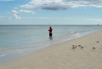 A person fishing on a tropical beach in Mexico with seagulls resting nearby. The sky is blue, the water is calm.            