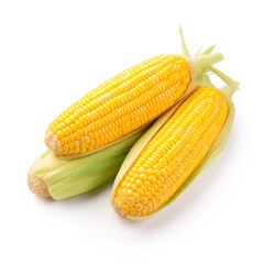 Corn on the cob isolated on white background, fresh sweet corn