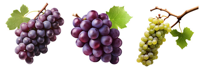Grapes isolated on transparent background, png, Generative Ai