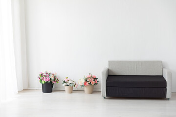 Grey office sofa with flowers in home room interior