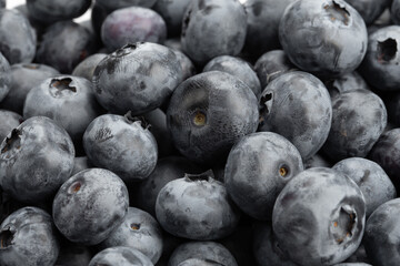 Lots of blueberries close up. Useful berries to strengthen immunity