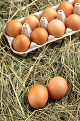 Chicken eggs in a tray and in hay.